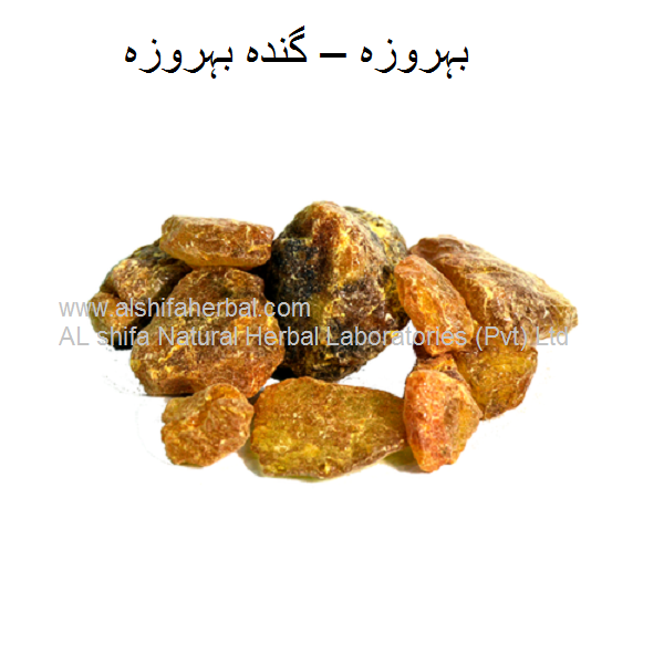 Behroza,  Pine Resin - Image 3